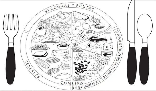 Alimentos del plato del bien comer para colorear - Imagui