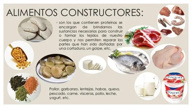 Alimentos reguladores, energeticos y constructores; lavado de manos