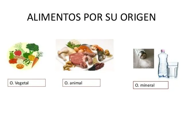 Alimentos vegetales animales y minerales - Imagui
