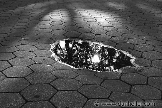 Allegra Photography: Some good water reflections I found