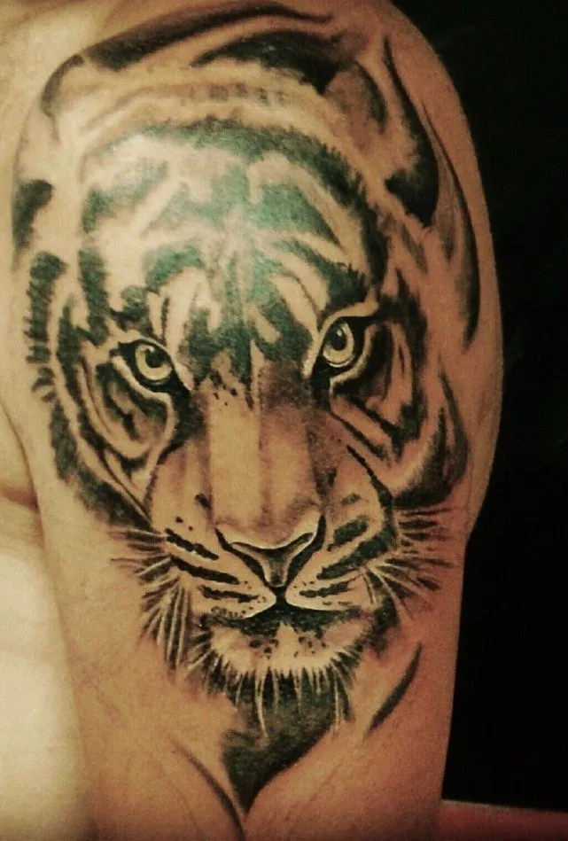 Almacen10 tattoo: tigre, tatuaje