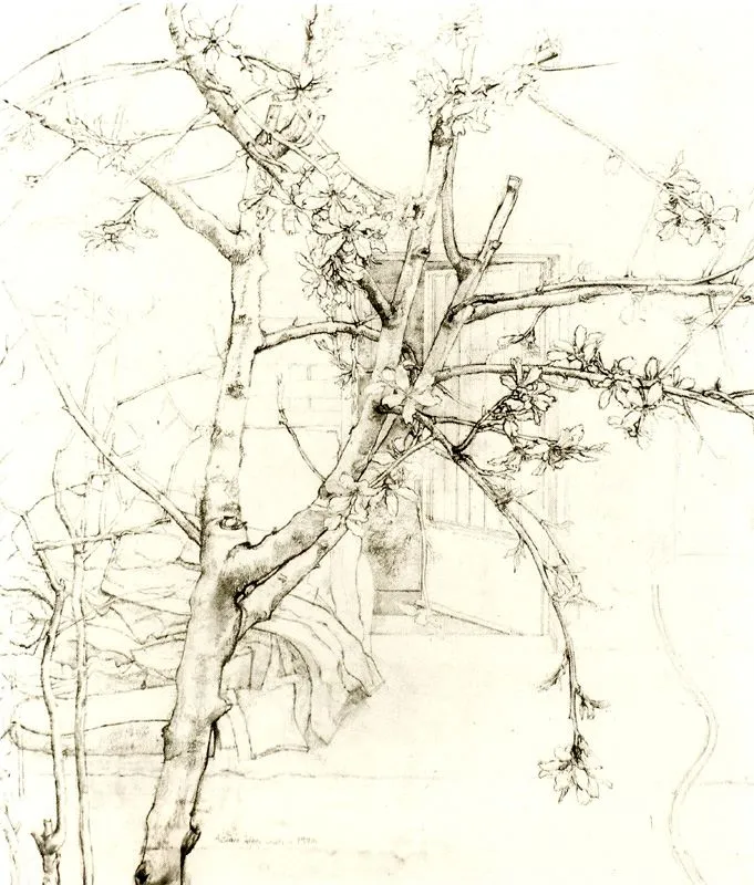 Almendro en flor, 1970. Dibujo.