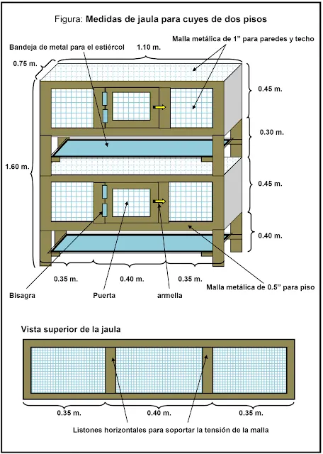 ALTERNATIVA ECOLÓGICA: JAULAS PARA CUYES