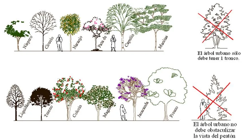 Altiplano: diciembre 2010