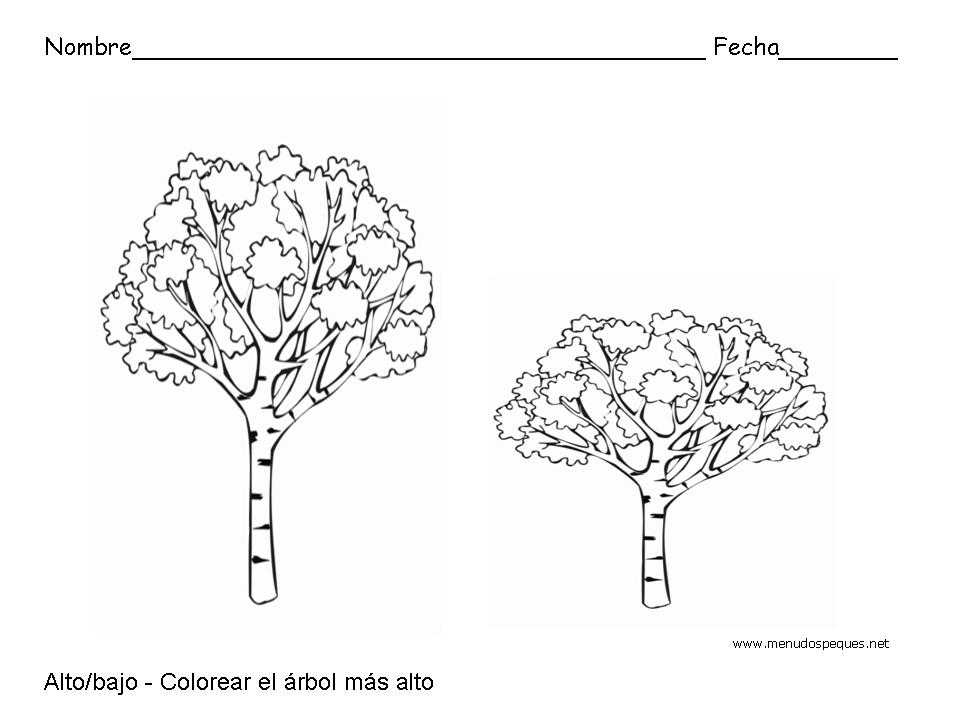 Alto y bajo, Árboles - Fichas de conceptos básicos