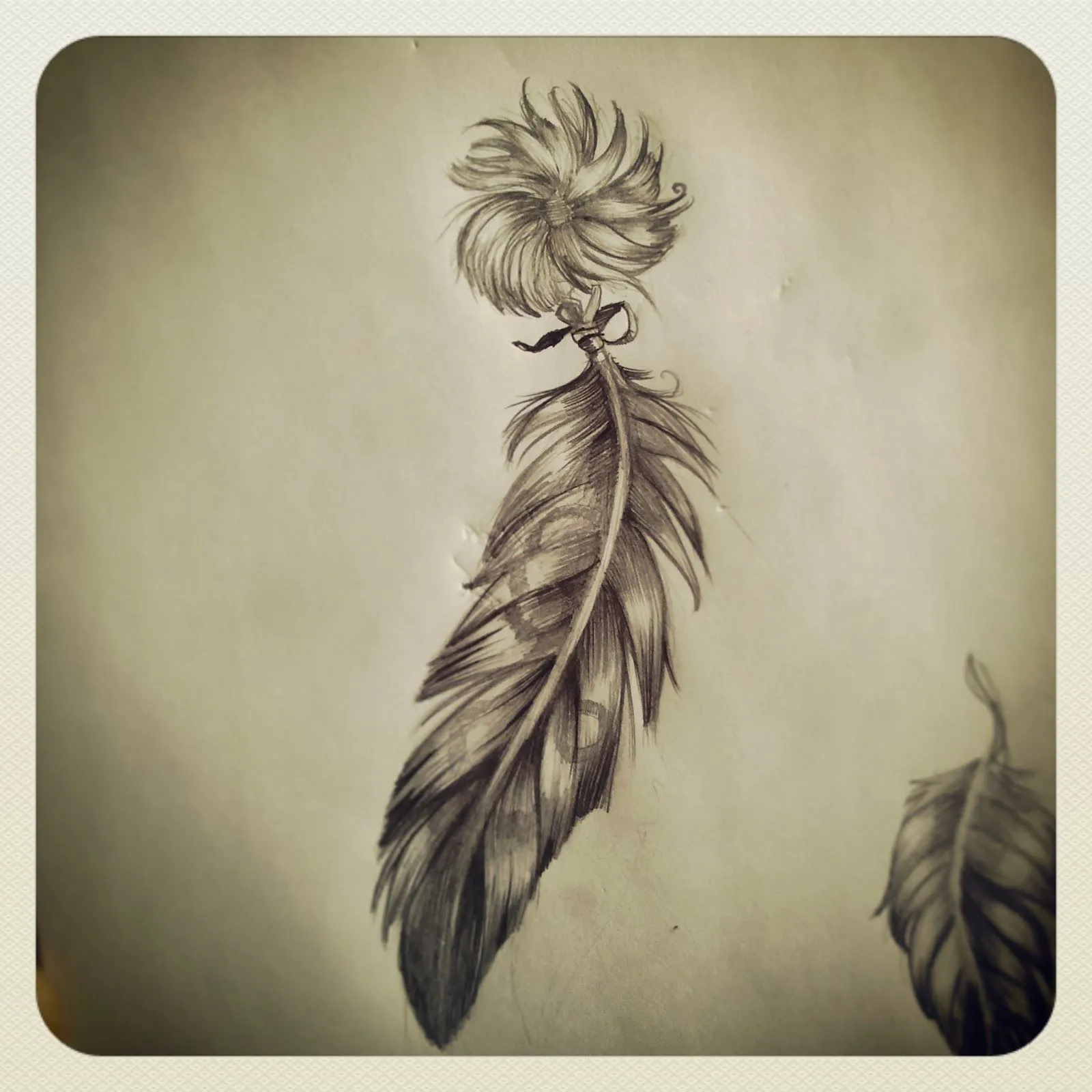 alvarofvilla: Otra pluma para un tattoo..