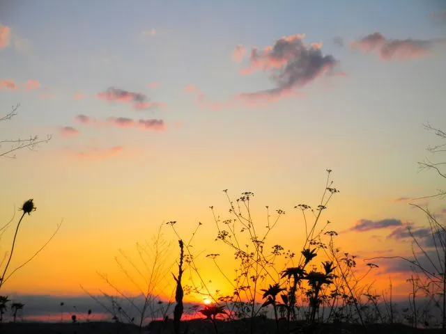 Amanecer en el campo | fotos de Naturaleza