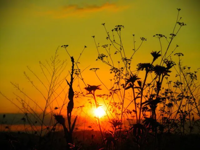 Amanecer en el campo | fotos de Naturaleza