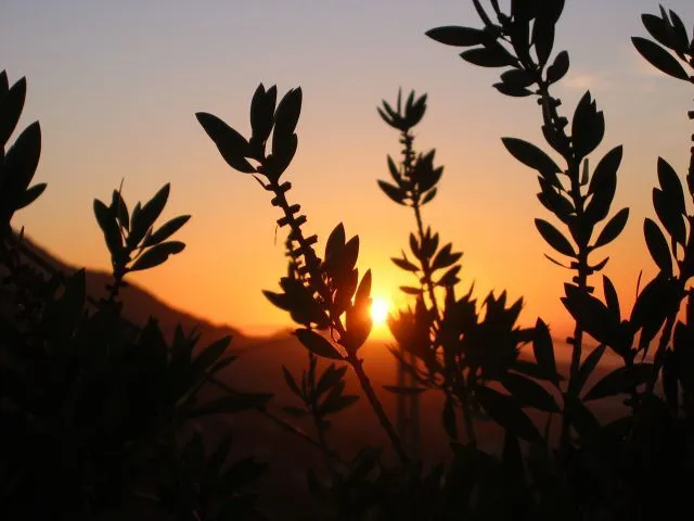 Amanecer en el campo | fotos de Nocturnas: amaneceres y atardeceres