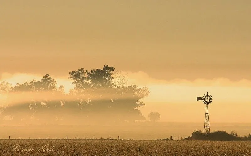 FotoRevista / Sencillamente Fotos / Amanecer en el campo de Román ...