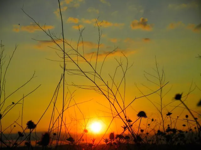 Amanecer en el campo | fotos de Naturaleza