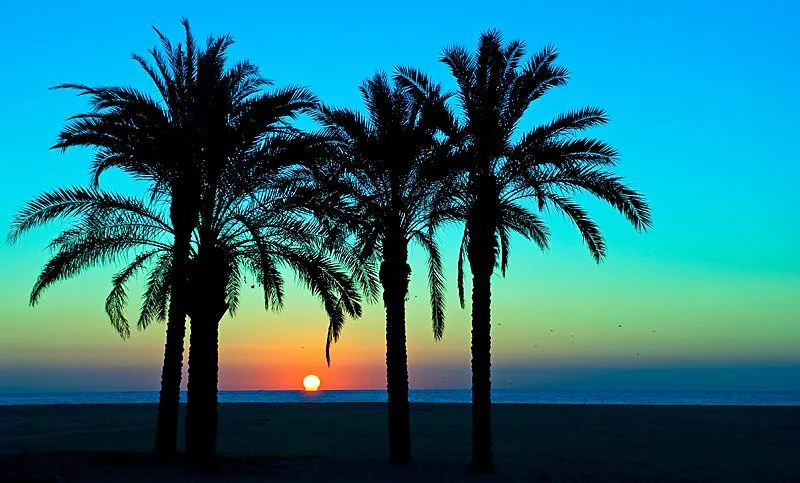 Amanecer en la playa con palmeras - Imagui