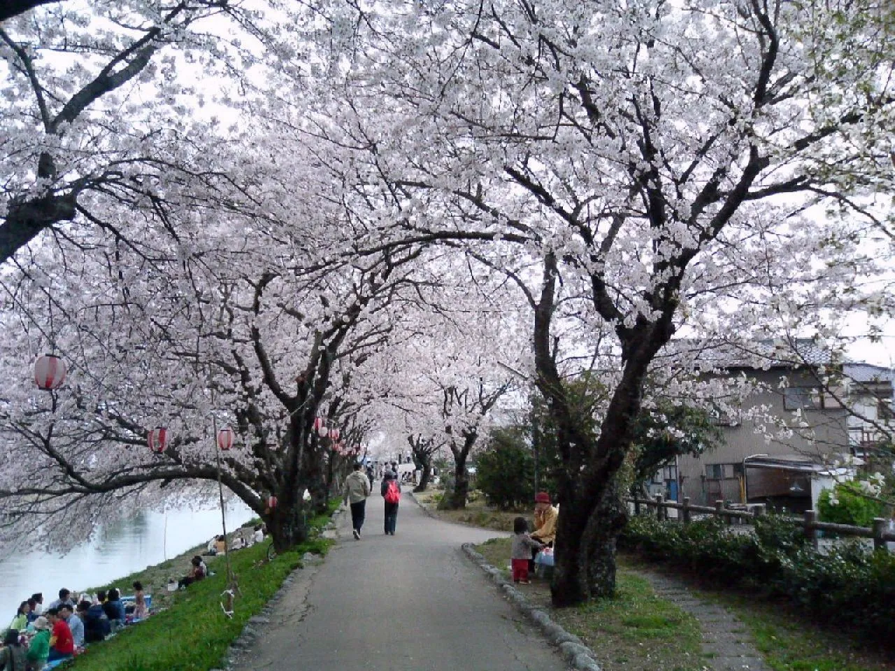 Japon paisajes hermosos - Imagui