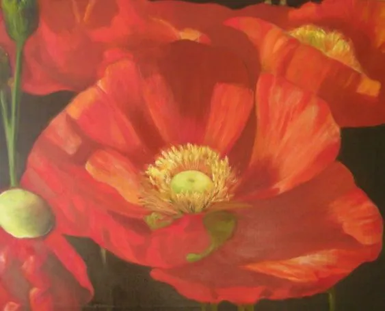 amapolas rojas Verónica Zaror Daccarett - Artelista.