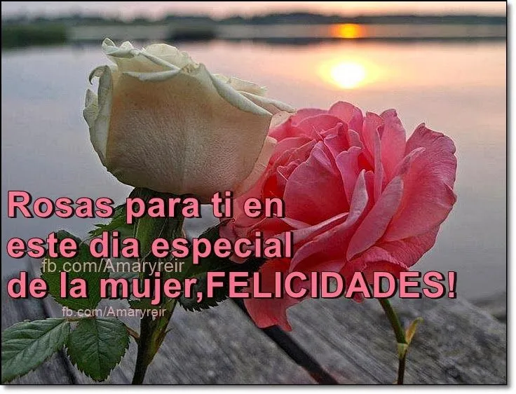 Amar, Vivir, Sentir y Sonreir: ROSAS para el dia de la mujer ...