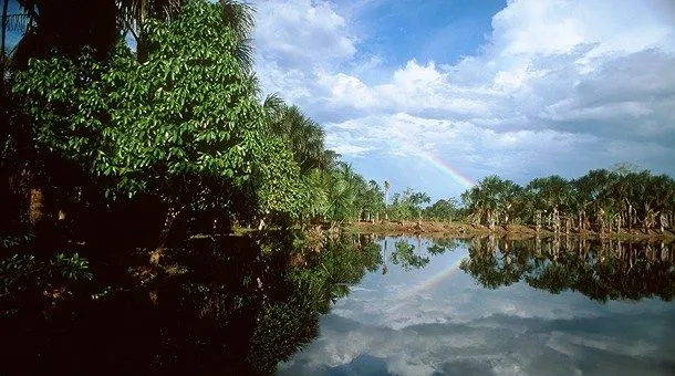 Amazonas y Natal - Catai Tours