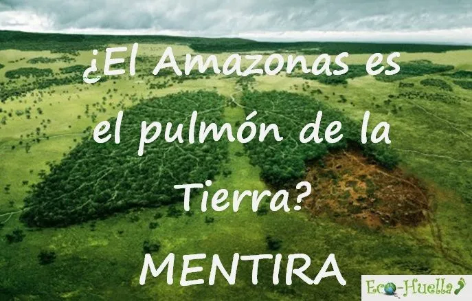 El amazonas es el pulmón de la Tierra? MENTIRA ~ Eco-Huella ...