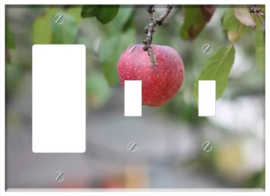Amazon.com: 3-Gang 1-Rocker/GFCI 2-Toggle combinación placa de pared cubierta – manzana triste fruta manzanas naturaleza rojo cultivo : Herramientas y Mejoras del Hogar