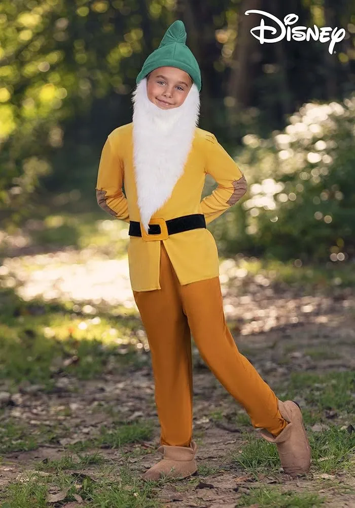 Amazon.com: Disney Bashful Dwarf - Disfraz para niño, talla grande : Ropa, Zapatos y Joyería