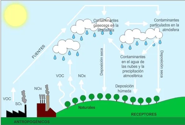 MEDIO AMBIENTE: 10/