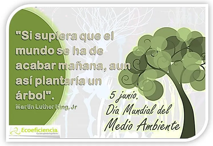 Día del Medio Ambiente - Ecoeficiencia S.A.S