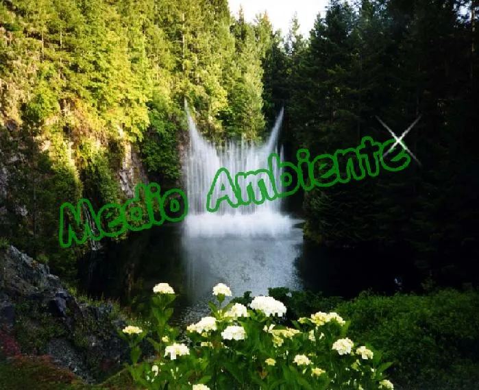 Imagenes paisaje de medio ambiente - Imagui