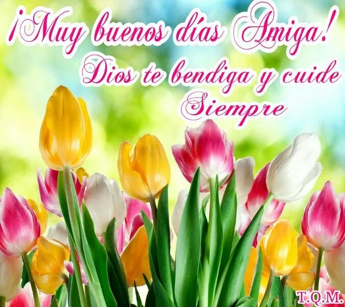 Muy buenos días Amiga! Dios te bendiga y cuide siempre. T.Q.M. ...