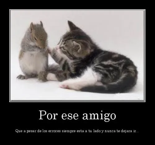 Por Ese Amigo… | Mi amor... Te amo !