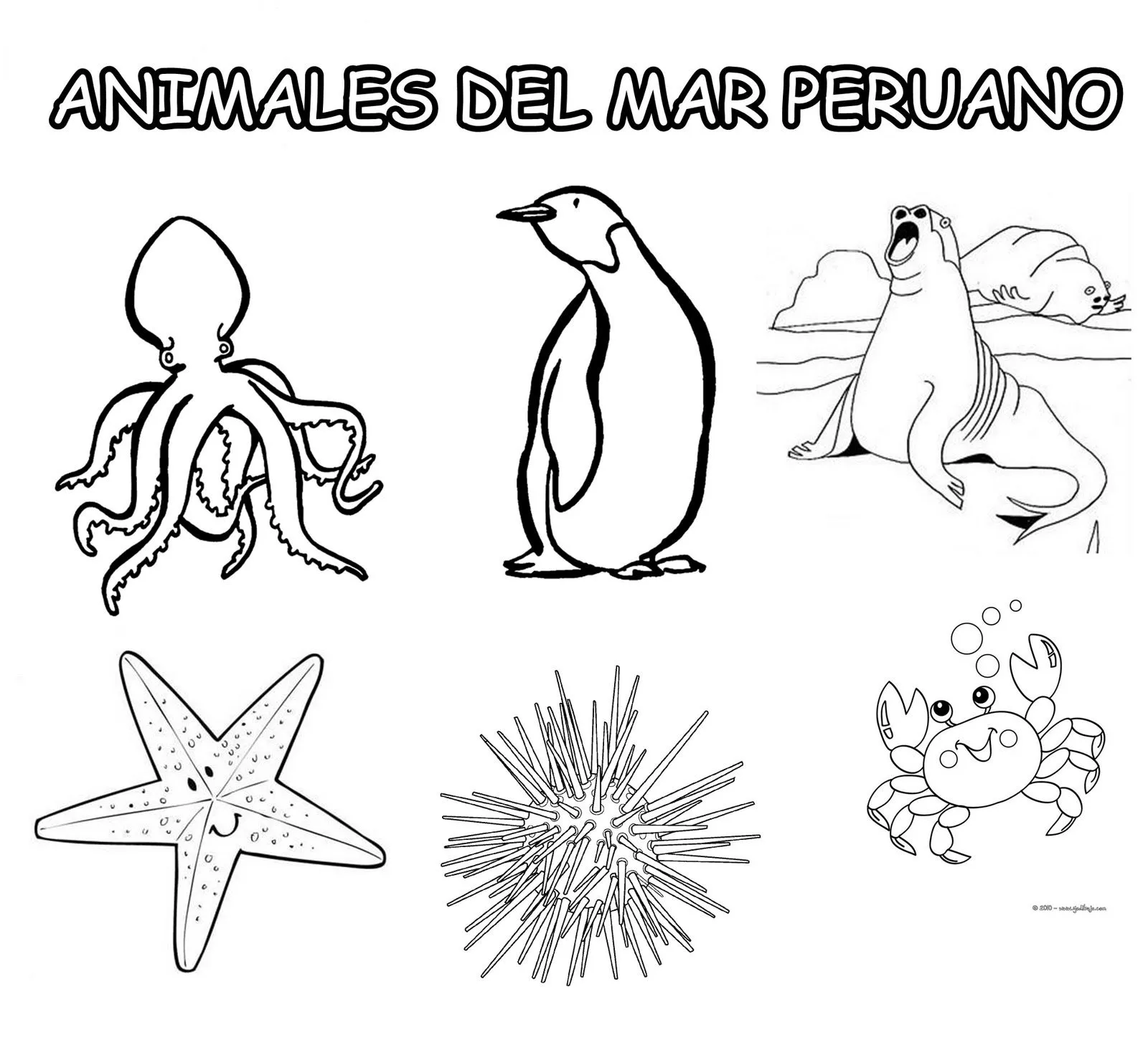 EL AMIGO QUE SIEMPRE ESTÁ CUANDO TÚ LO NECESITAS: ANIMALES DE LAS ...