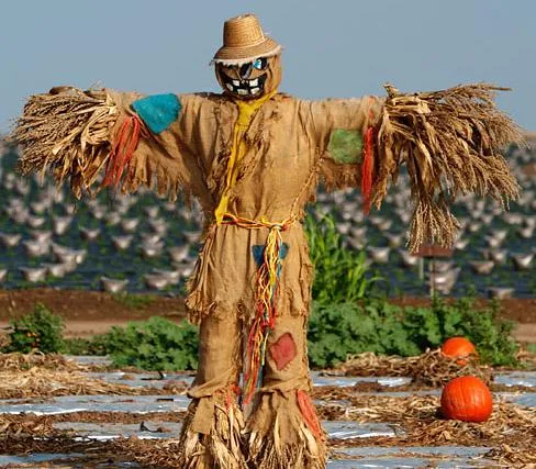 AMIGOS DE BALDOMERO: EL ESPANTAPAJAROS