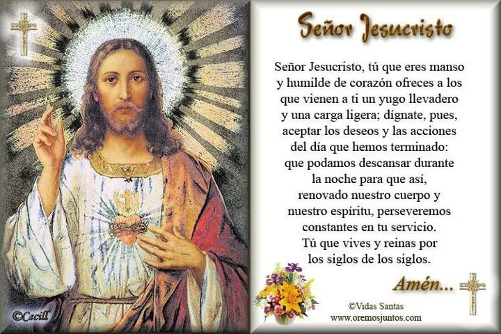 Amigos Católicos • Ver Tema - Señor Jesucristo.