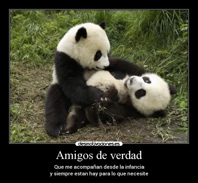 Amigos de verdad | Desmotivaciones
