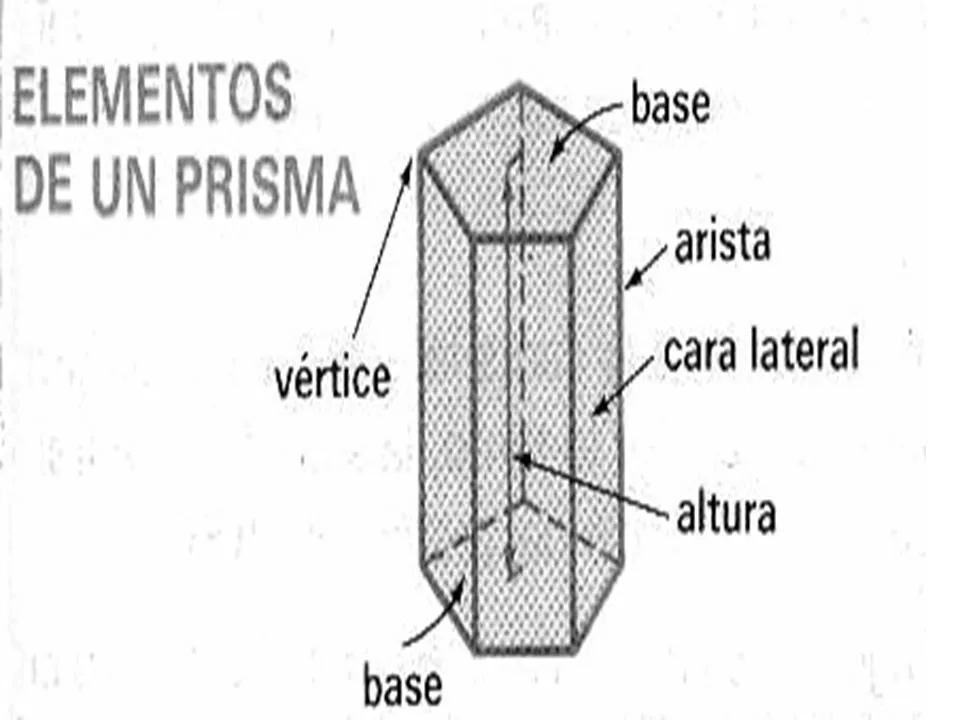 Amigos de las matemáticas.: SESIONES: