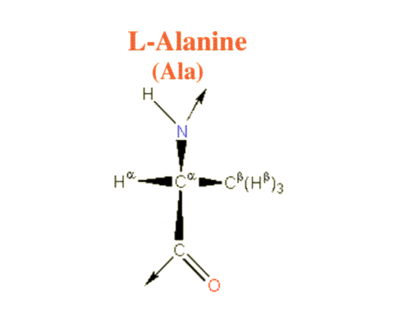 Amino Acid Browser