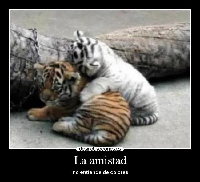 La amistad | Desmotivaciones