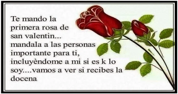 Amistad reflexiones y Algo más: Te mando la primera rosa de San ...