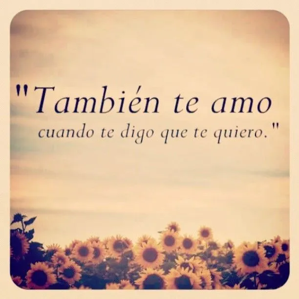 También te amo cuando digo que te quiero. - De amor y otras ...