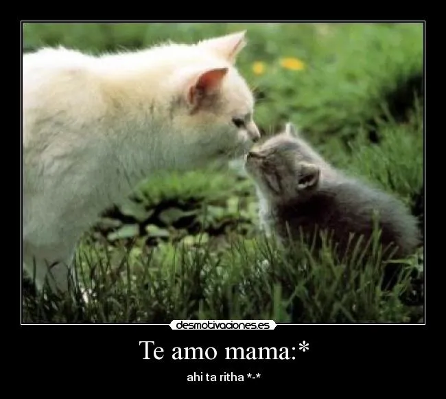 Te amo mama:* | Desmotivaciones