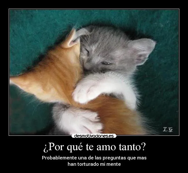 Por qué te amo tanto? | Desmotivaciones