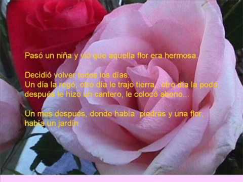 Amor y amistad - YouTube
