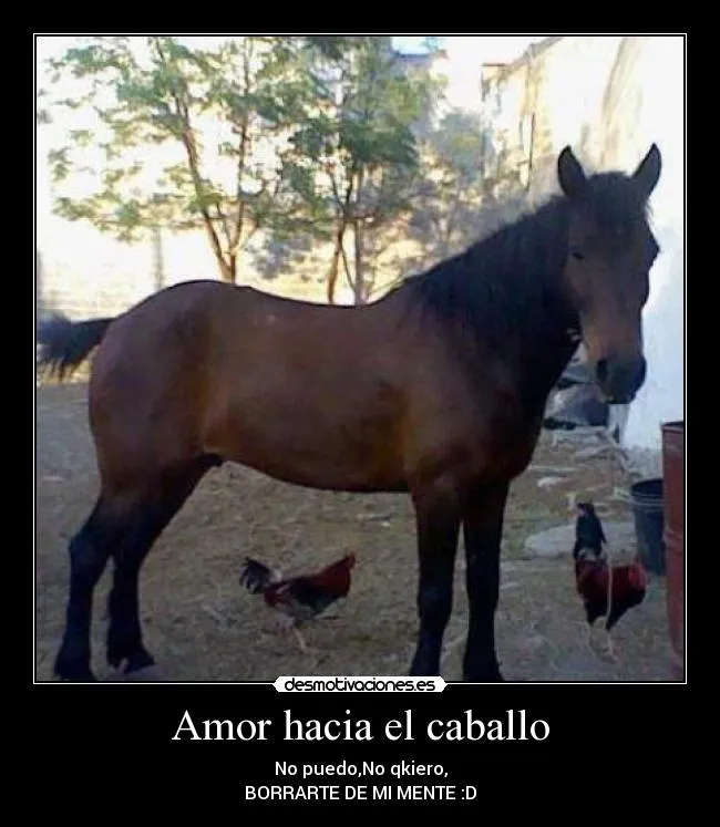 Amor hacia el caballo | Desmotivaciones