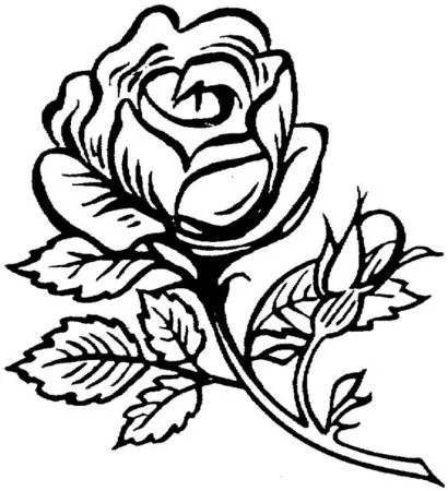 Dibujos para imprimir y colorear: Rosas para colorear