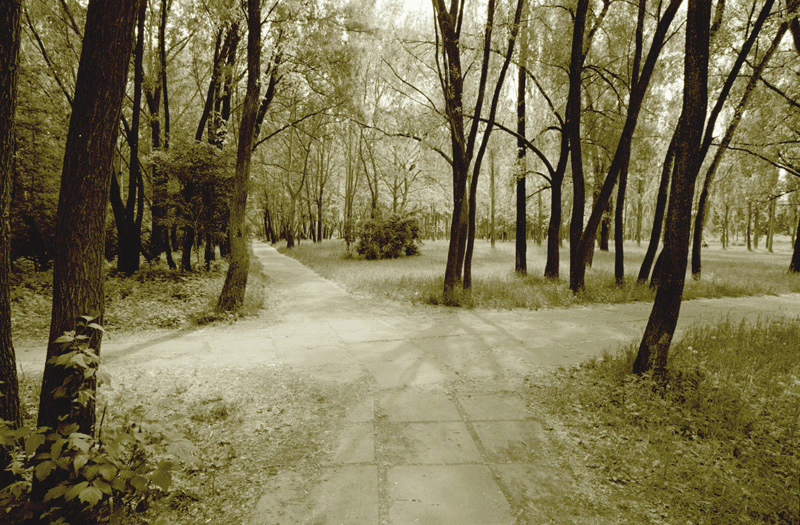 Amor, cuántos caminos hasta llegar a un beso, de Pablo Neruda ...