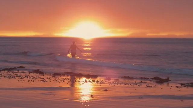 De amor y casualidad.: El amor fue mi playa