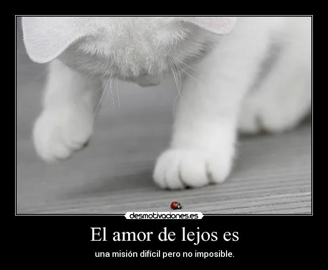 El amor de lejos es | Desmotivaciones