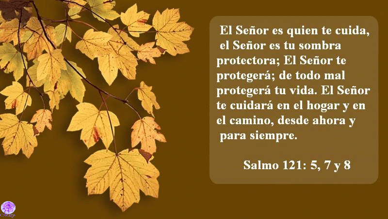 EL AMOR DE DIOS ES LA FLOR Y LA MISERICORDIA ES EL FRUTO. - AMIGOS ...