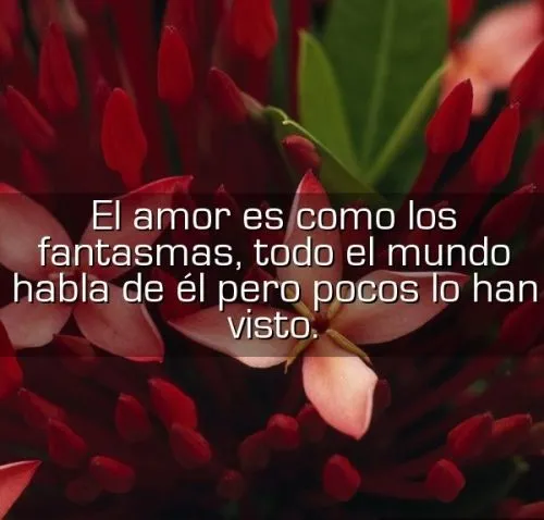 El amor es como los fantasmas, todo el mundo habla de él pero ...