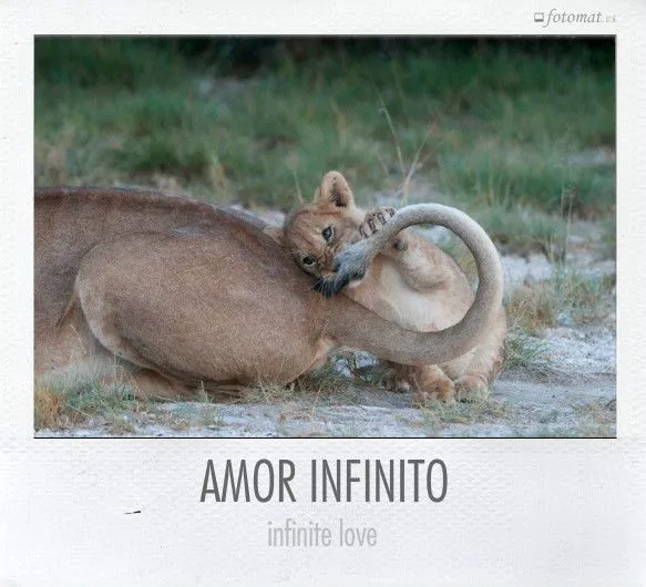 Amor infinito | Fotomat