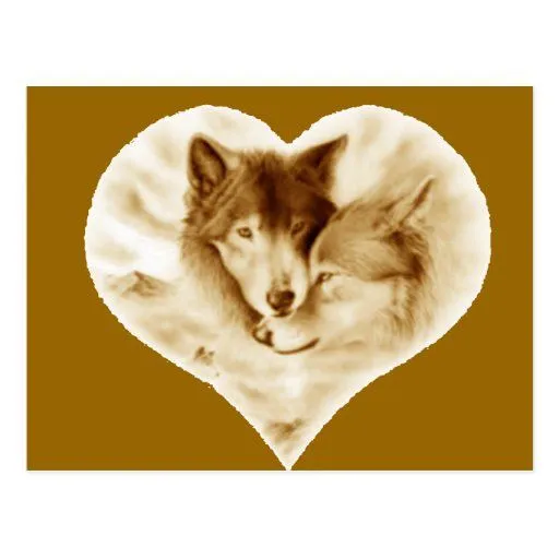Amor del lobo postales de Zazzle.