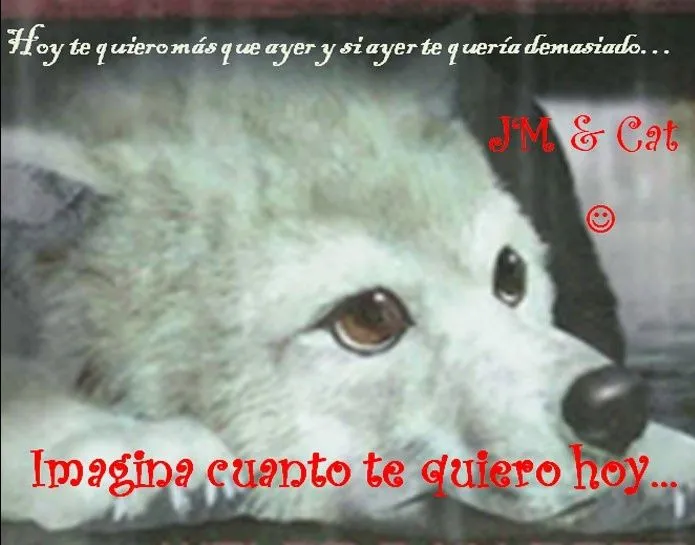 Amor Entre Lobos: Amor entre Lobos